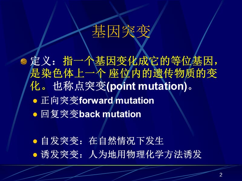 遗传学经典第09章基因突变ppt课件_第2页