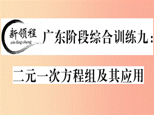 （廣東專版）八年級數學上冊 階段綜合訓練九 二元一次方程組及其應用習題講評課件（新版）北師大版.ppt