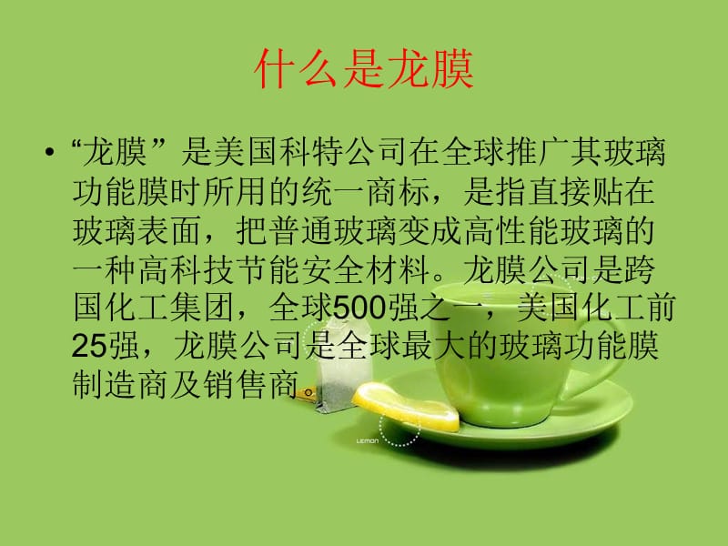 《东莞龙膜专营店》PPT课件.ppt_第2页