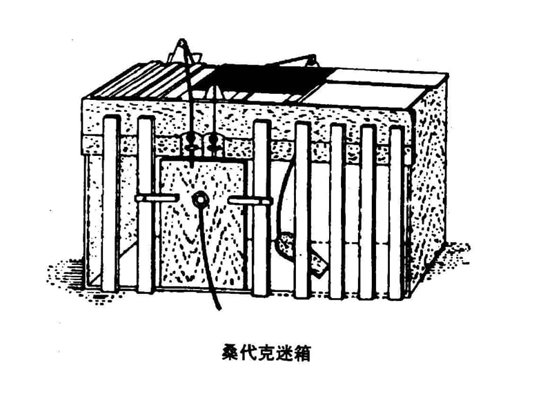 物理课程与教学论.ppt_第3页