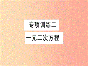 2019春九年級數(shù)學(xué)下冊 專項(xiàng)訓(xùn)練二 一元二次方程習(xí)題講評課件（新版）北師大版.ppt