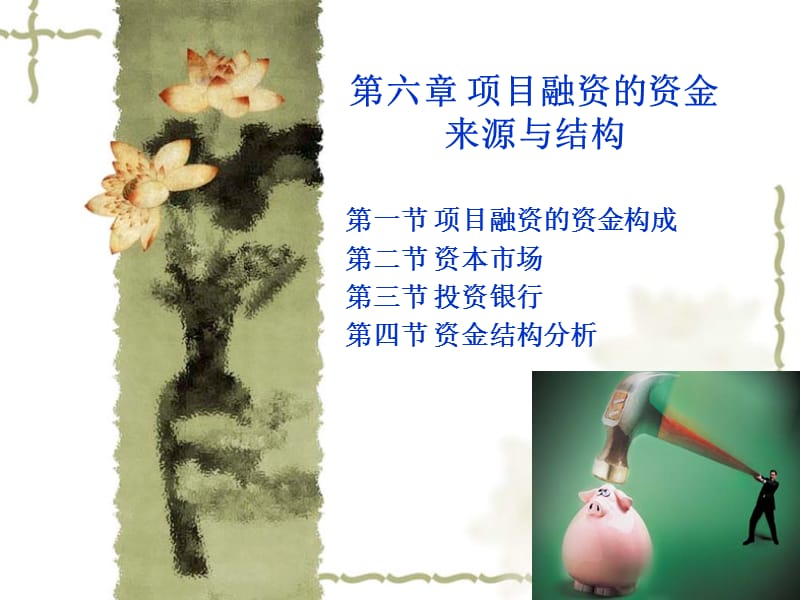 项目融资的资金来源(资金结构).ppt_第1页