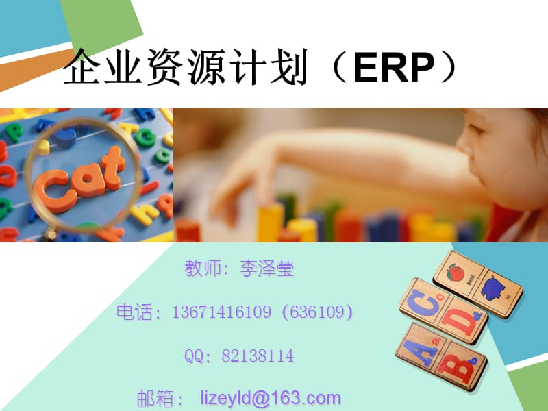 《ERP系统概述cha》PPT课件.ppt_第1页