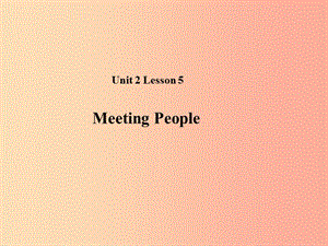 2019秋期八年级英语下册 Unit 2 Lesson 5 Meeting People课件（新版）北师大版.ppt