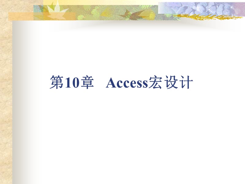 《access宏设计》PPT课件.ppt_第1页