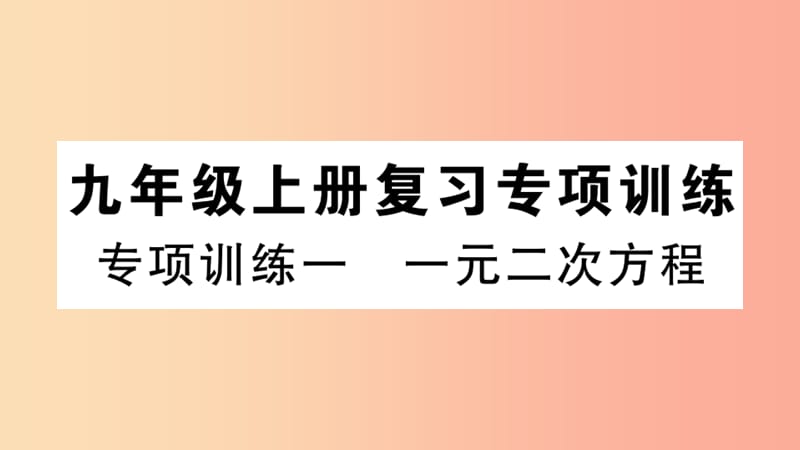 2019春九年级数学下册 专项训练一 一元二次方程习题讲评课件 新人教版.ppt_第1页