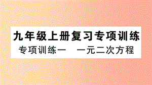 2019春九年級數(shù)學下冊 專項訓練一 一元二次方程習題講評課件 新人教版.ppt