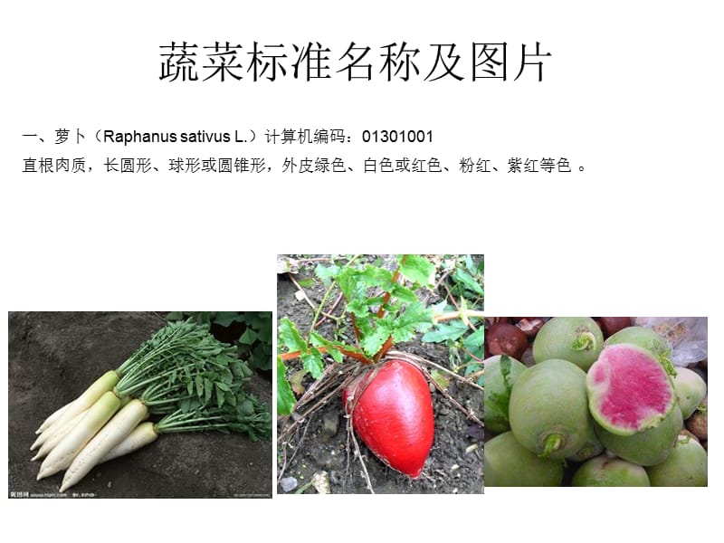 《蔬菜标准名称及》PPT课件.ppt_第1页