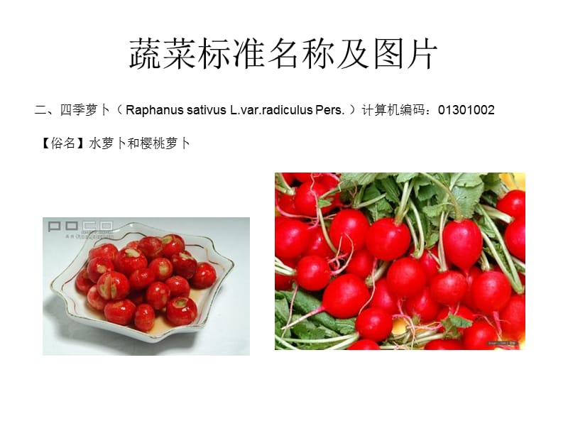 《蔬菜标准名称及》PPT课件.ppt_第2页