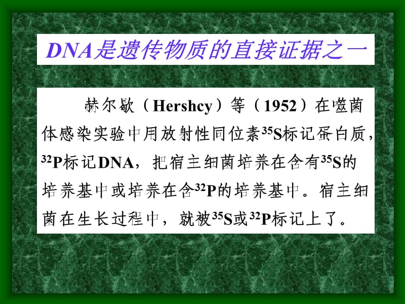 DNA的发现与结构.ppt_第3页