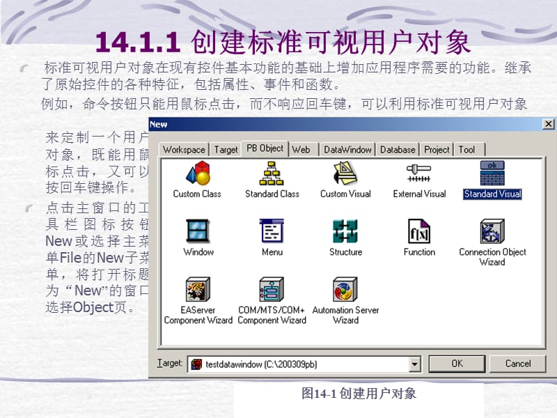 PB14第14章用户自定义对象.ppt_第3页