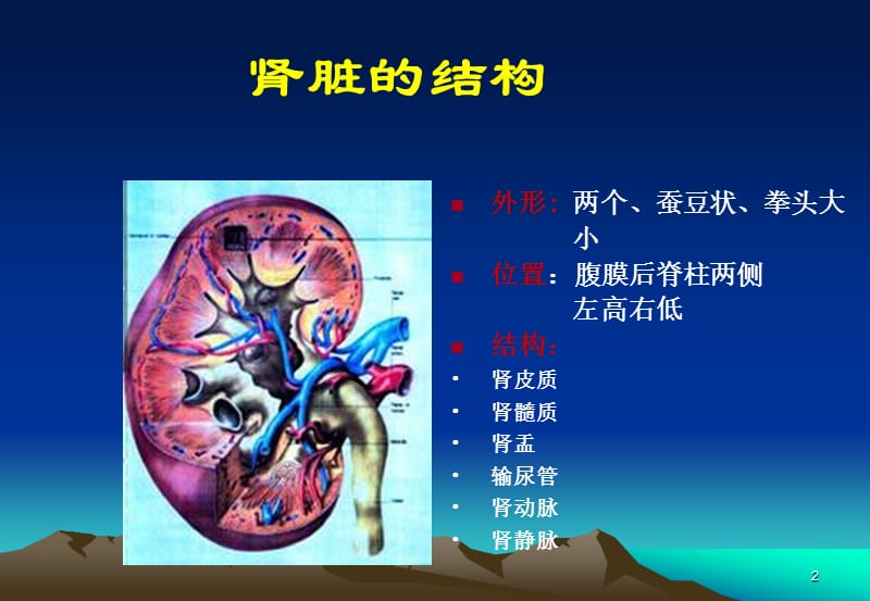 营养饮食宣教ppt课件_第2页