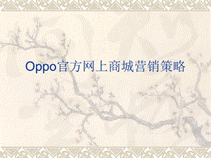 oppo網(wǎng)上商城營銷策略.ppt