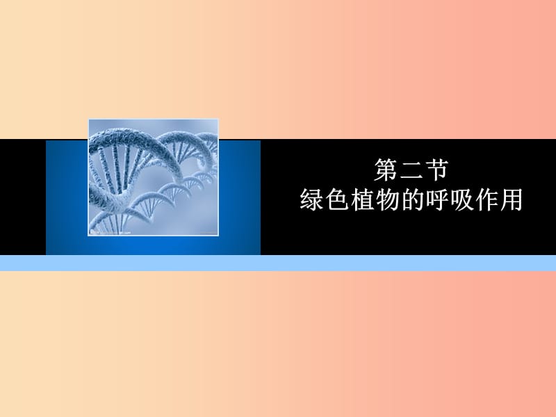 2019年七年级生物上册 第三单元 第五章 第二节 绿色植物的呼吸作用教学课件 新人教版.ppt_第1页