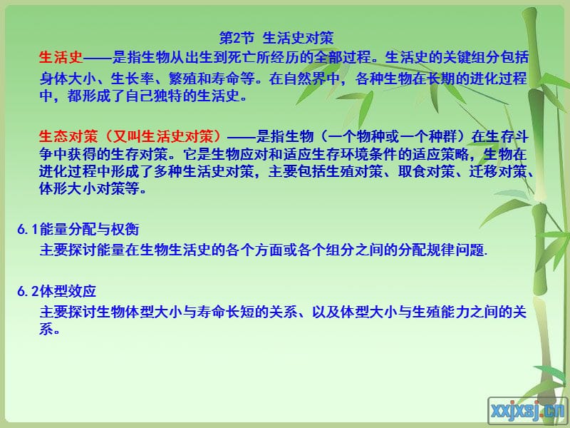 《种群生态学讲》PPT课件.ppt_第1页