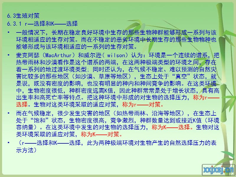 《种群生态学讲》PPT课件.ppt_第2页