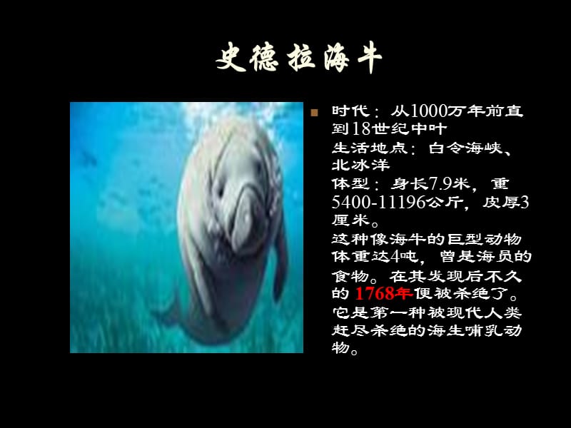 世界灭绝动物墓地.ppt_第3页