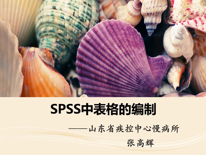 SPSS中表格的编制.ppt_第1页