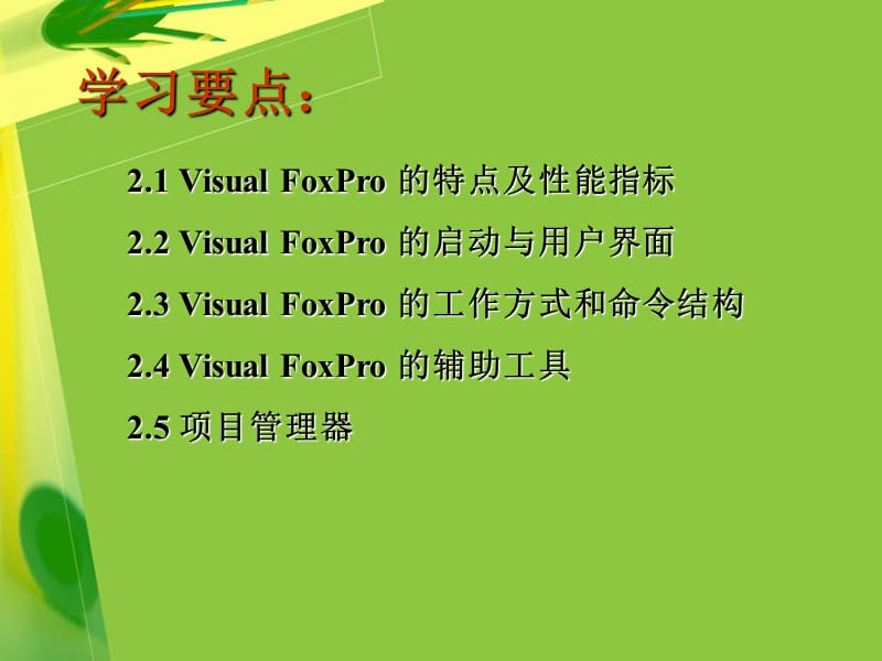 《FoxPro系统概述》PPT课件.ppt_第2页