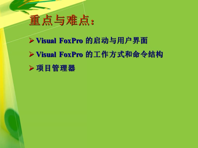 《FoxPro系统概述》PPT课件.ppt_第3页