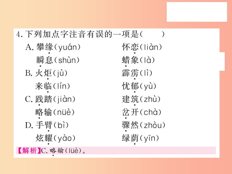 2019秋九年级语文上册 专题训练一 语音汉字与词语习题课件 语文版.ppt_第3页