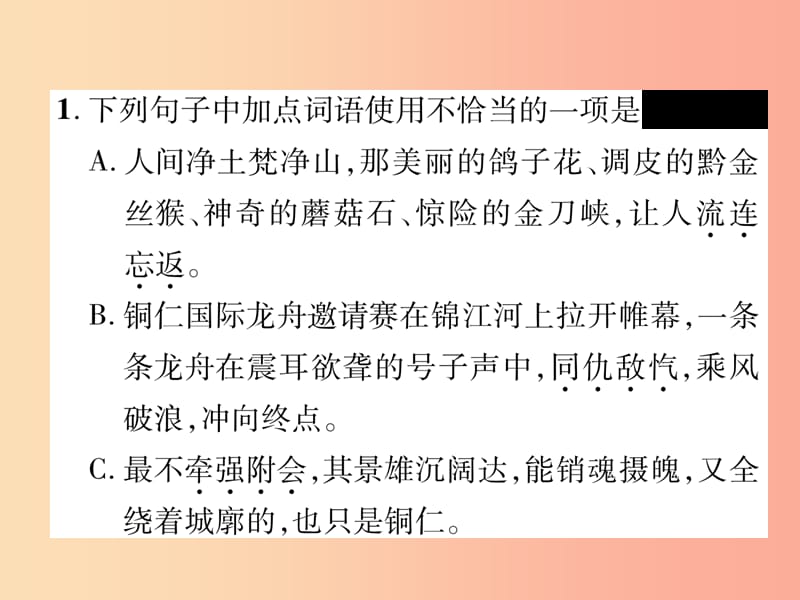 云南专版2019年九年级语文上册专题2词语的理解与运用作业课件新人教版.ppt_第2页