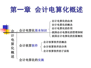 《會計電算化概述》PPT課件.ppt