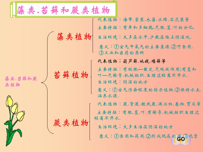 陕西省七年级生物上册 3.1生物圈中的绿色植物课件 新人教版.ppt_第1页