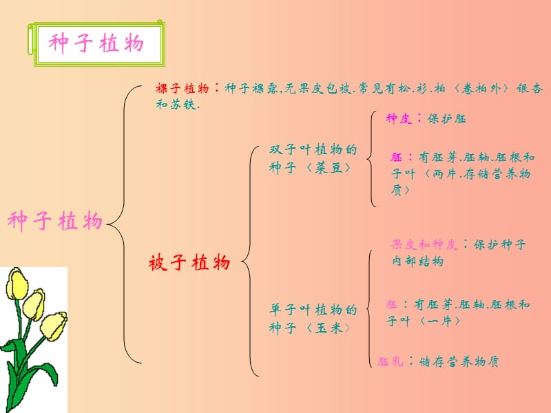 陕西省七年级生物上册 3.1生物圈中的绿色植物课件 新人教版.ppt_第2页