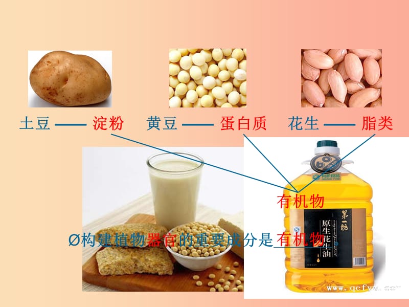 七年级生物上册第三单元第四章绿色植物是生物圈中有机物的制造者绿色植物对有机物的利用课件 新人教版.ppt_第3页