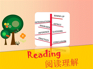 2019年中考英語(yǔ)知識(shí)點(diǎn)總復(fù)習(xí) 閱讀理解課件.ppt