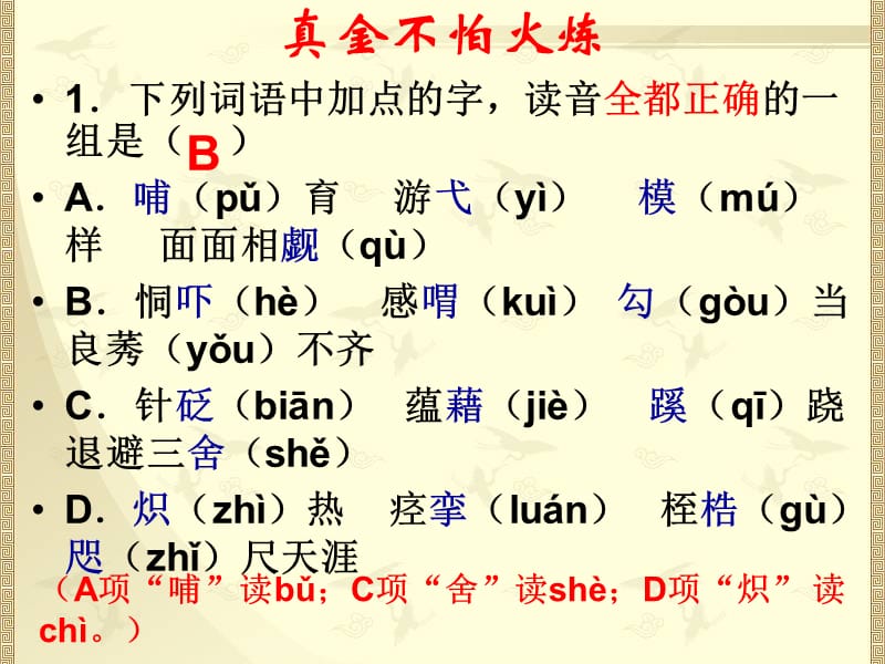 2014年正确使用词语(熟语).ppt_第3页