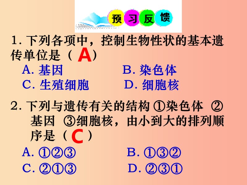 八年级生物上册 20.2《性状遗传的物质基础》课件3 （新版）北师大版.ppt_第2页