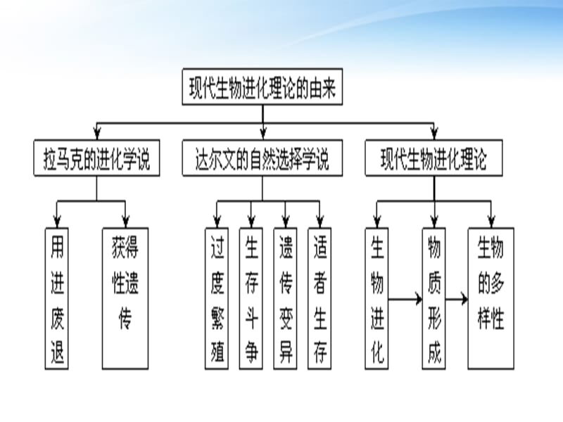 2012高三生物3年高考2年模拟17讲生物进化.ppt_第2页