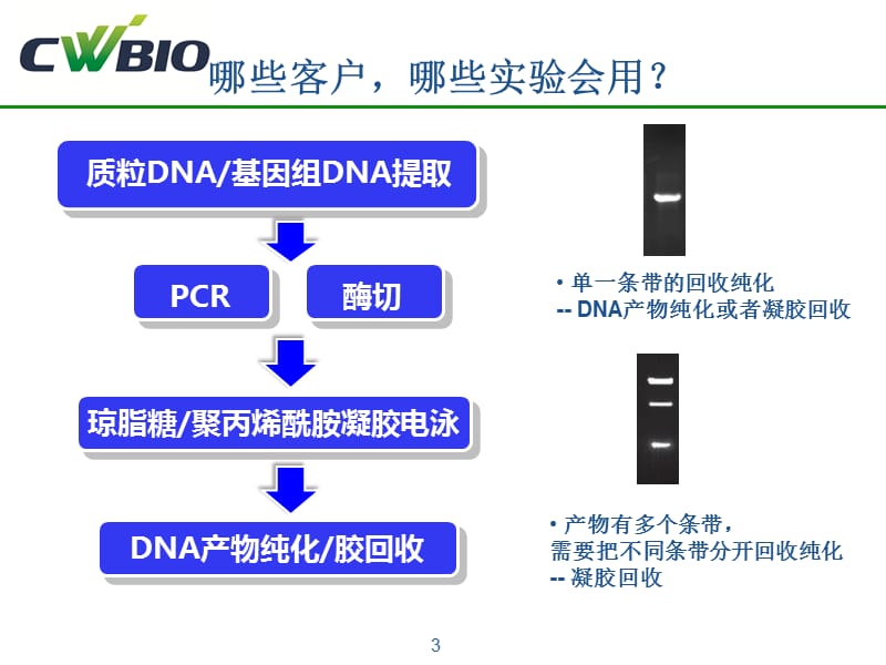 胶回收、DNA产品纯化.ppt_第3页