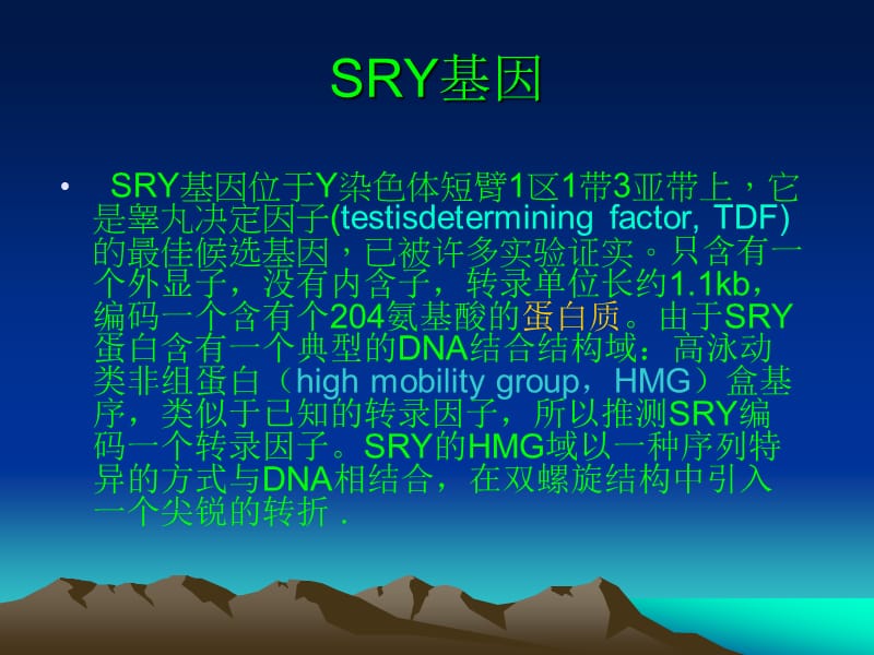 SRY基因和其在临床诊断中的应用.ppt_第2页