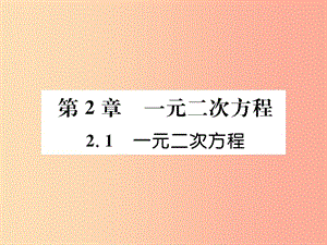 2019年秋九年級數(shù)學(xué)上冊 第2章 一元二次方程 2.1 一元二次方程作業(yè)課件（新版）湘教版.ppt