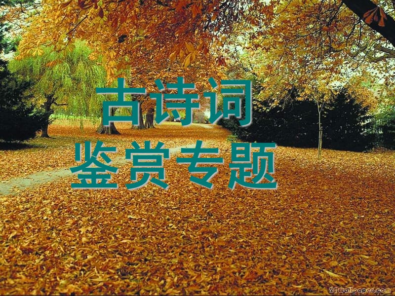 《古诗鉴赏专题》PPT课件.ppt_第1页