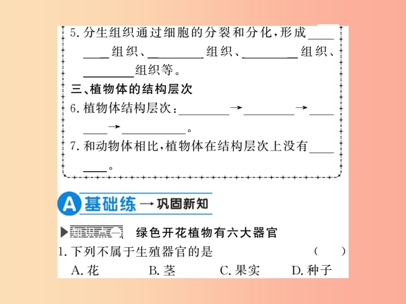 2019年七年级生物上册 第2单元 第2章 第三节 植物体的结构层次习题课件 新人教版.ppt_第3页