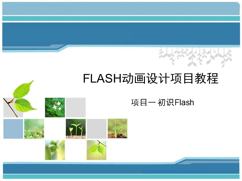 Flash动画设计项目教程(项目一初识Flash).ppt_第1页