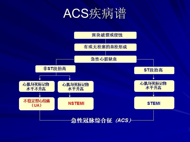 贯穿ACS治疗全领域-NSTEACS的治疗.ppt_第3页