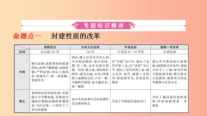 山东省泰安市2019年中考历史专题复习 专题六 中外历史上的重大改革课件.ppt_第2页