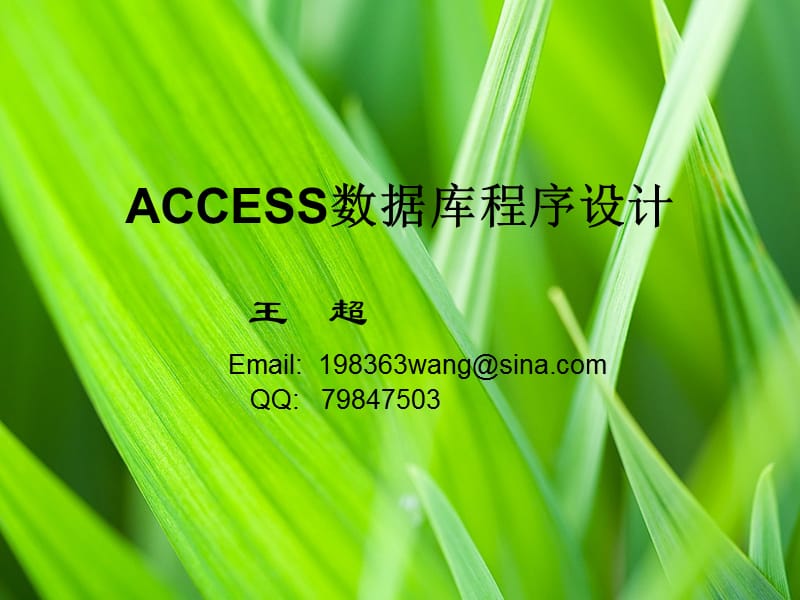 ACESS第一章概述.ppt_第1页