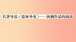 （安徽專用）九年級語文下冊 第三單元 名著導(dǎo)讀《儒林外史》諷刺作品的閱讀習(xí)題課件 新人教版.ppt