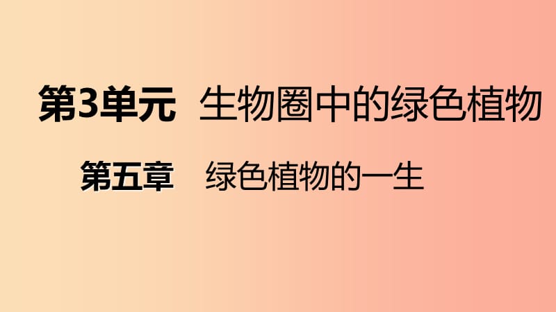 2019年七年级生物上册 第三单元 第五章 第二节 植物根的生长课件（新版）苏教版.ppt_第1页