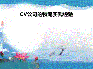 CV公司的物流實(shí)踐經(jīng)驗(yàn).ppt