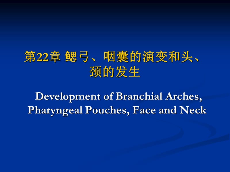 鳃弓、咽囊的演变和头、颈的发生.ppt_第1页