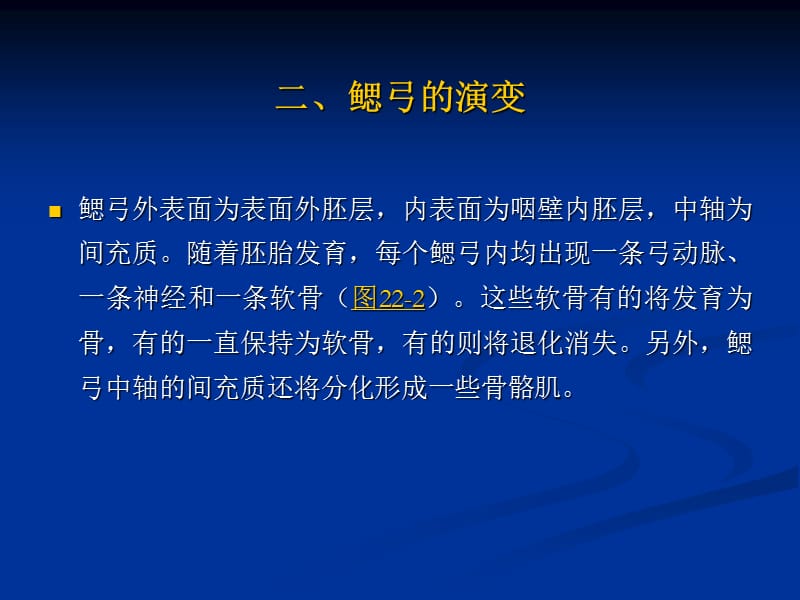 鳃弓、咽囊的演变和头、颈的发生.ppt_第3页