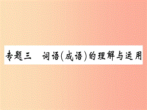 （河北專用）2019年八年級(jí)語文上冊(cè) 專題三 詞語（成語）的理解與運(yùn)用習(xí)題課件 新人教版.ppt