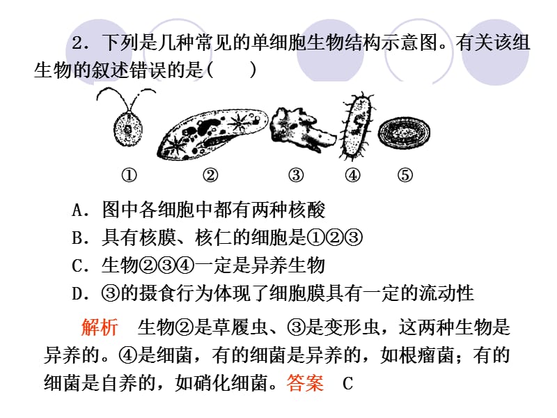 细胞中的元素、无机物及糖类、脂质(课件).ppt_第2页